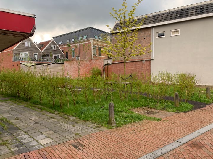 Foto 9 van Blijhamsterstraat