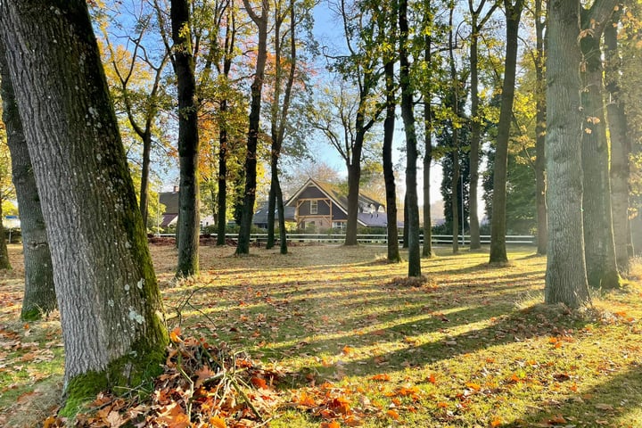 Bekijk foto 46 van Bruntingerbrink 72