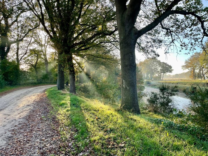 Foto 47 van Bruntingerbrink 72