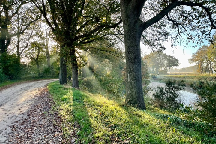 Bekijk foto 47 van Bruntingerbrink 72