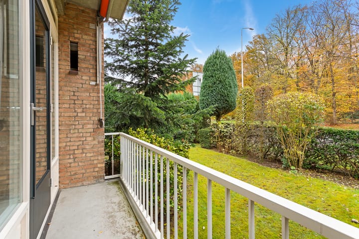 Foto 20 van St. Annastraat 616