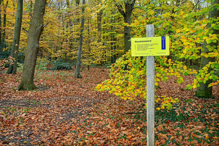 Foto 71 van St. Annastraat 616