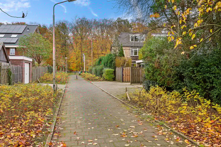 Foto 72 van St. Annastraat 616