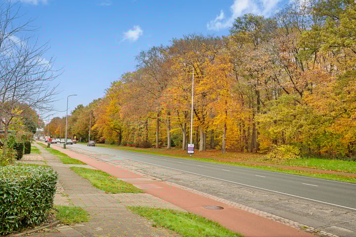 Foto 73 van St. Annastraat 616