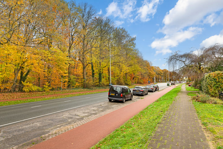 Foto 74 van St. Annastraat 616