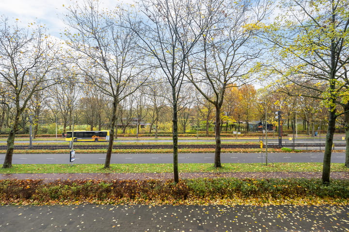 Foto 15 van Livingstonelaan 758