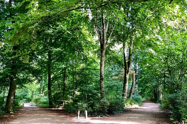 Foto 49 van Nieuwpoortslaan 33