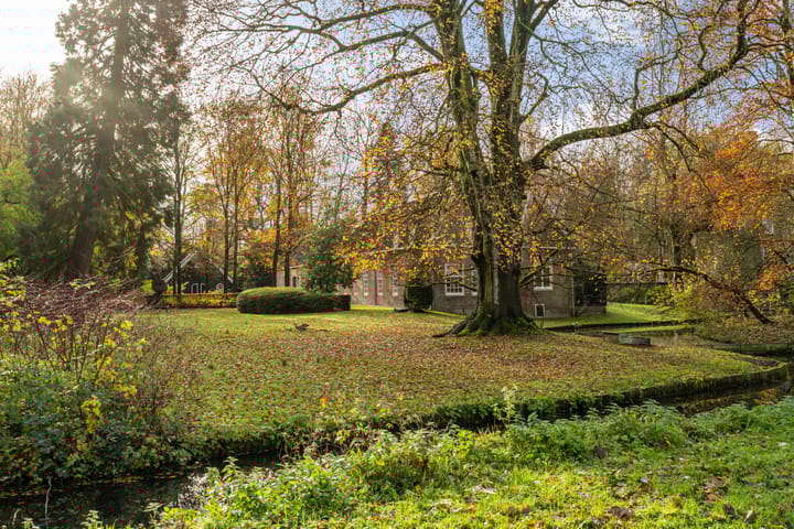 Foto 38 van Hof van Plettenburg 48