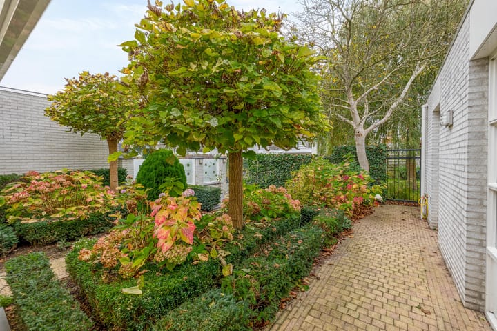 Foto 28 van Betje Wolffstraat 7