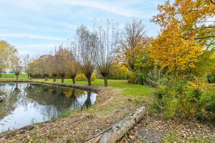 Foto 33 van Apollostraat 18