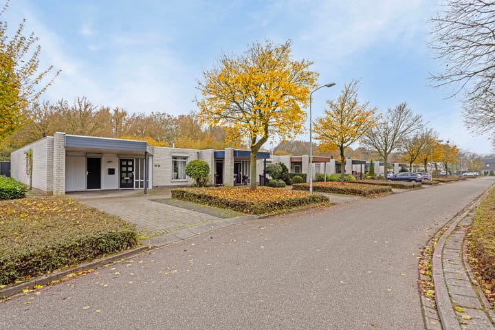 Foto 28 van Zesakkers 2033