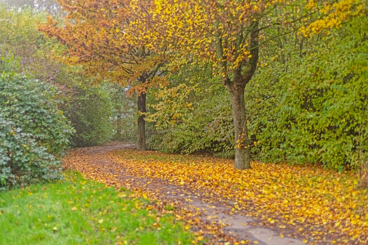 Foto 30 van Zesakkers 2033