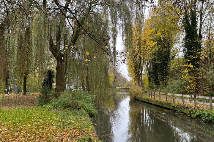 Foto 18 van Michaëlplein 60