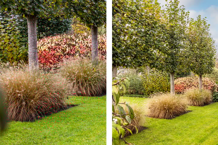 Foto 72 van Duinlaan 2-A