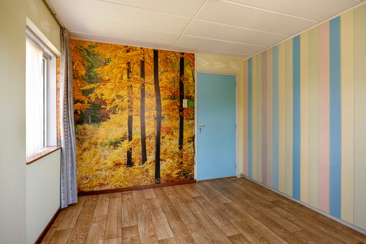 Foto 28 van Esdoornstraat 1