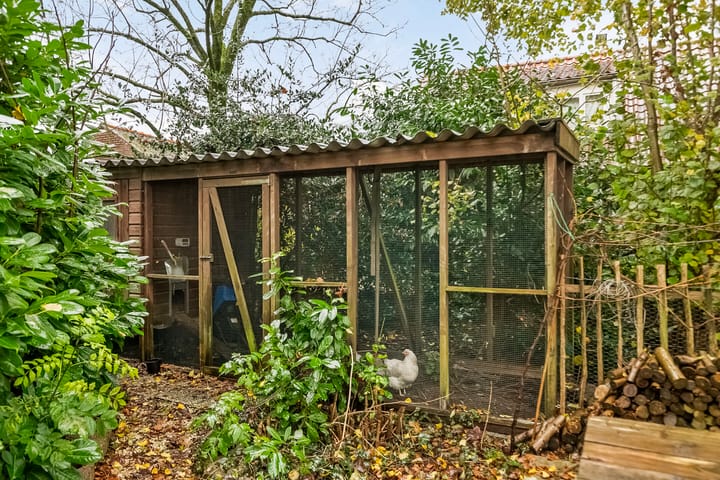 Photo 53 of Jacob de Boerweg 3