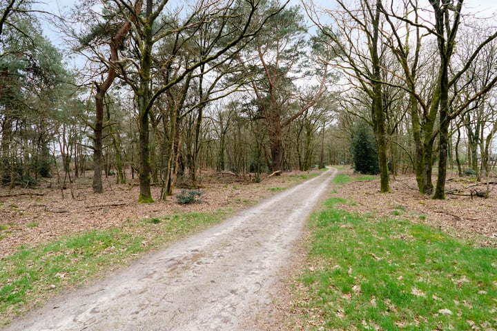 Bekijk foto 36 van Kerkendelweg 49-94