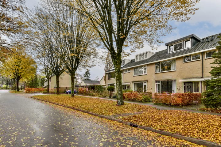 Foto 3 van Oosterlaan 167