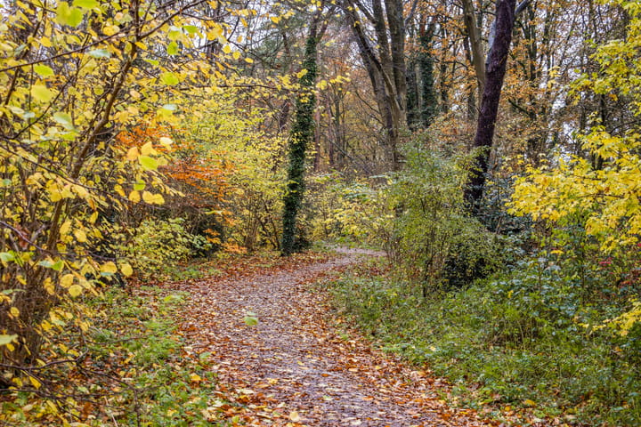 Foto 38 van Oosterlaan 167