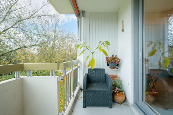 Foto 25 van Doornenburgstraat 65-B