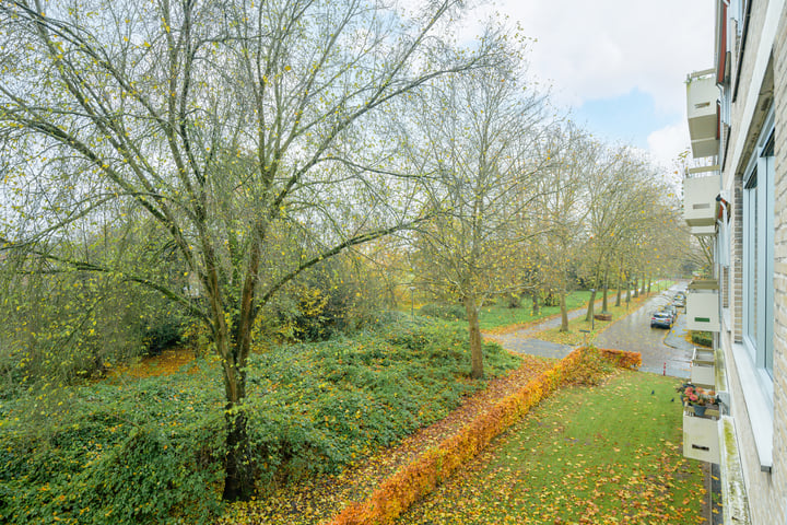 View photo 26 of Doornenburgstraat 65-B