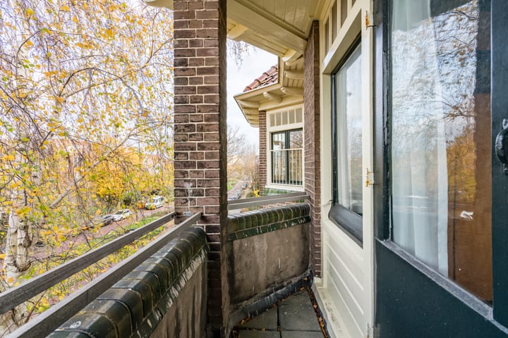 Foto 43 van Boerhaavelaan 13