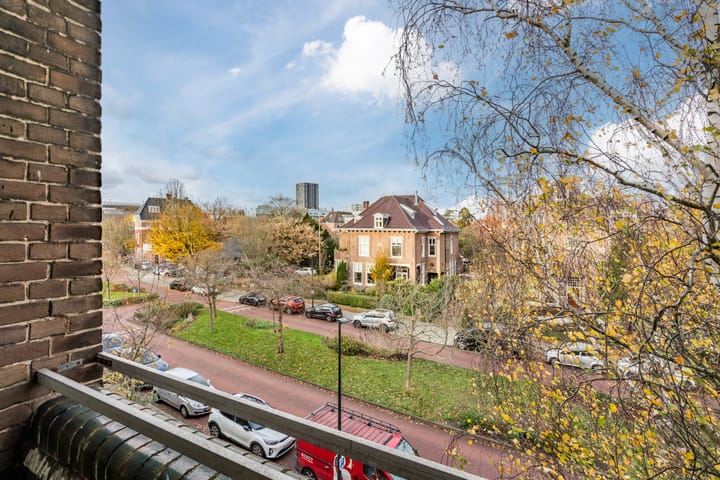 Foto 44 van Boerhaavelaan 13