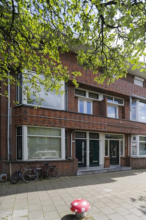 Foto 2 van Van Ostadelaan 20-A