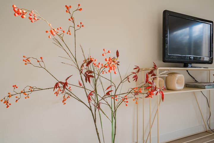 Foto 17 van Kagerstraat 3-B