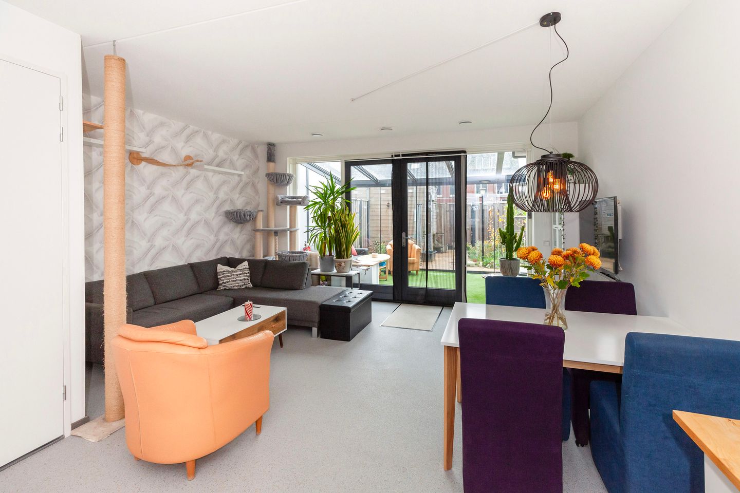 Foto 5 van Honingbij 61