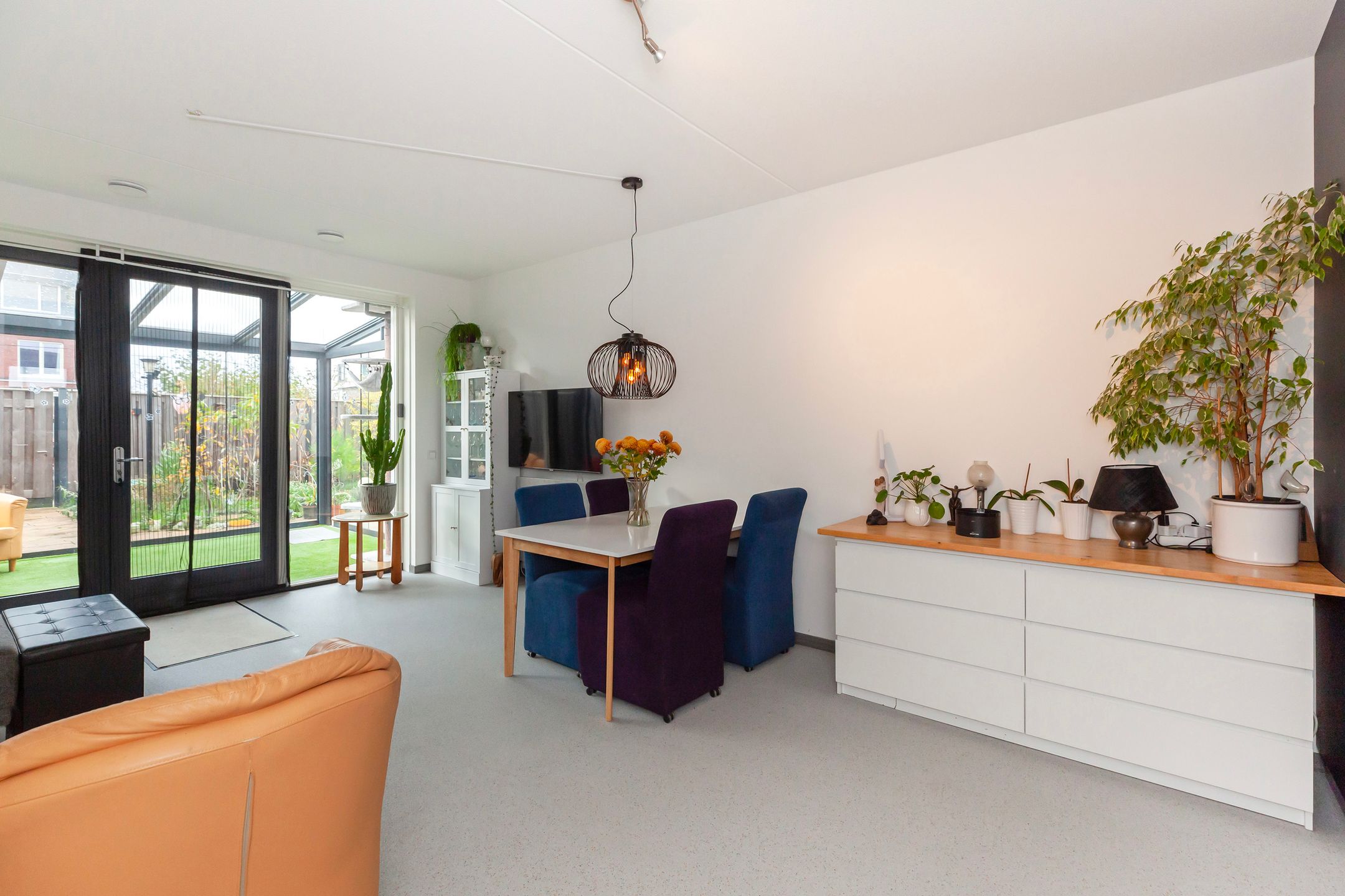 Foto 6 van Honingbij 61