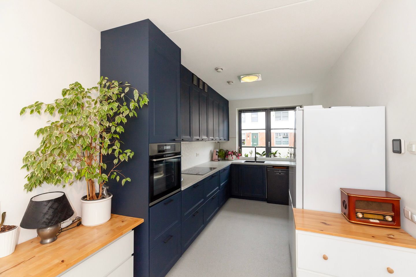 Foto 10 van Honingbij 61