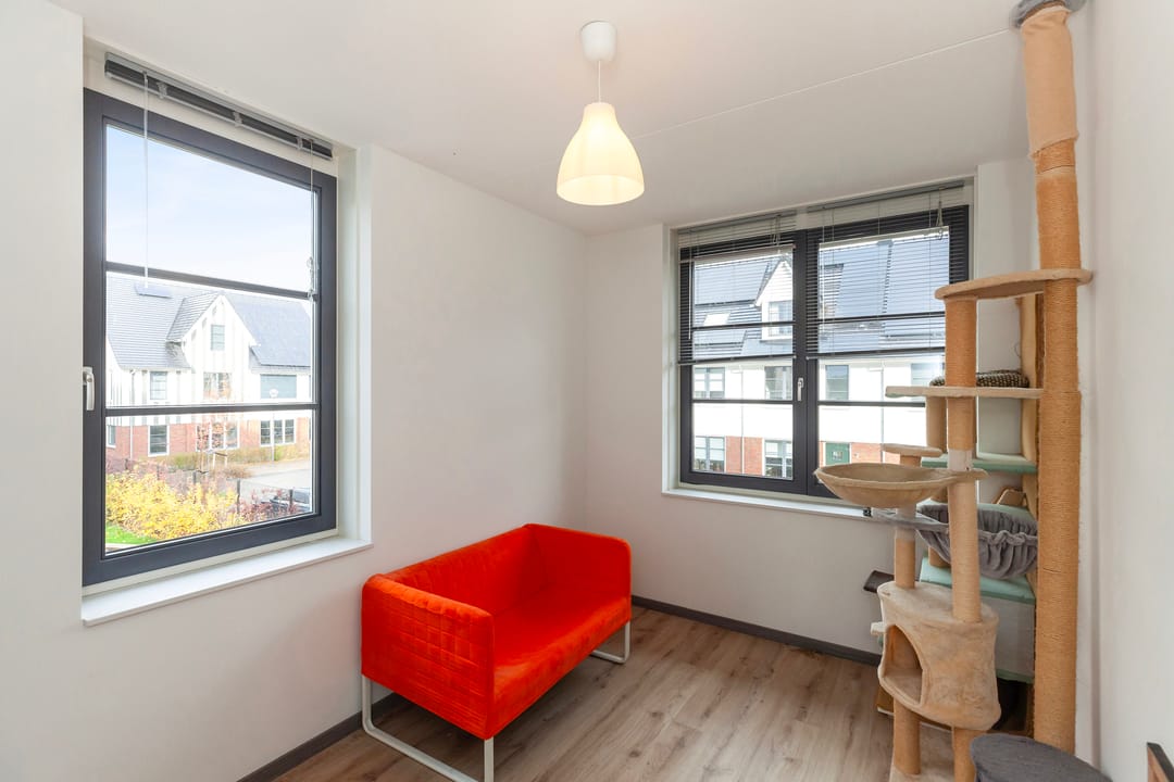 Foto 22 van Honingbij 61