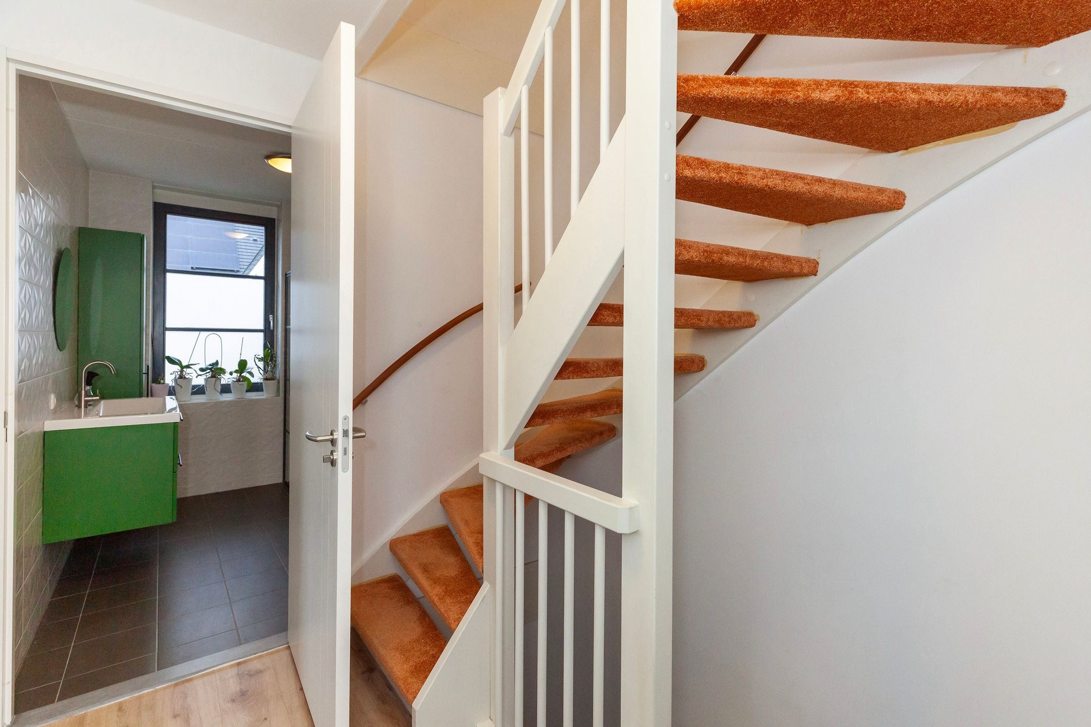 Foto 24 van Honingbij 61