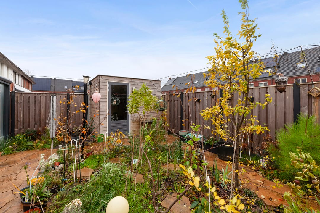 Foto 28 van Honingbij 61