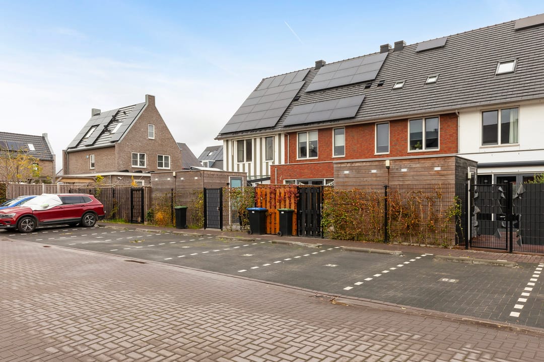 Foto 32 van Honingbij 61