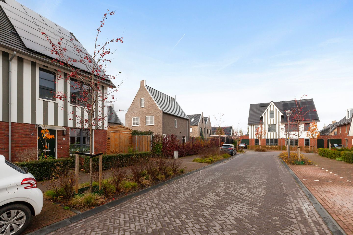 Foto 34 van Honingbij 61