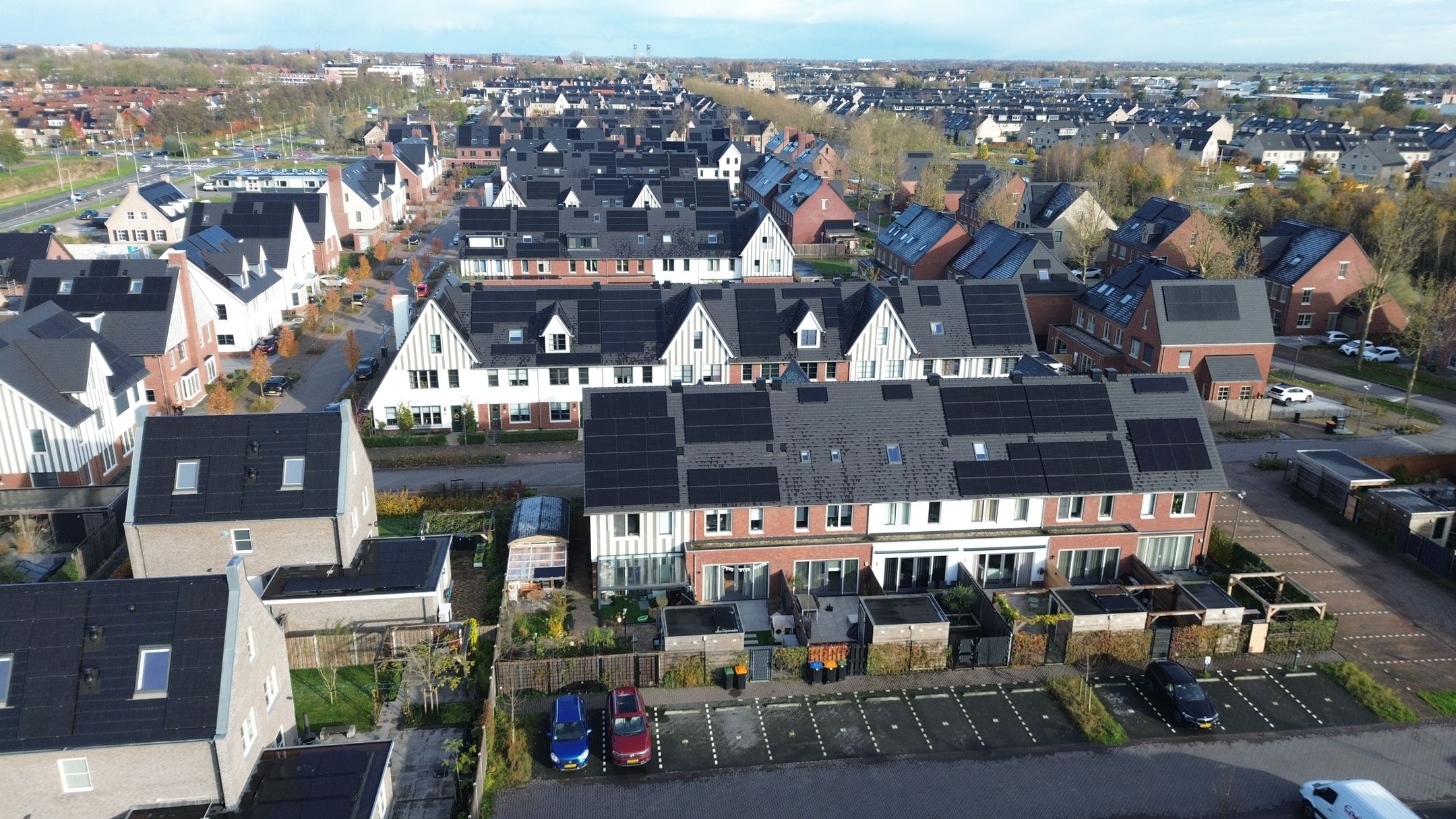 Foto 36 van Honingbij 61