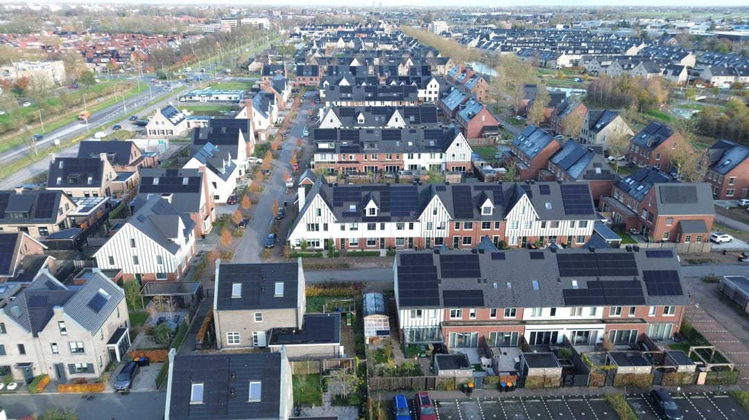 Foto 37 van Honingbij 61