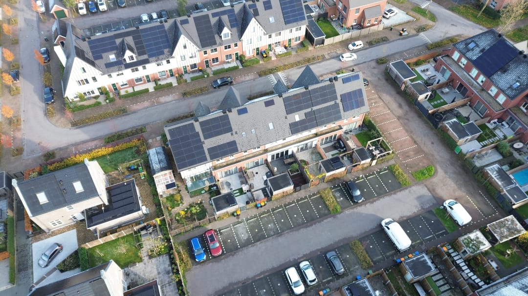 Foto 38 van Honingbij 61