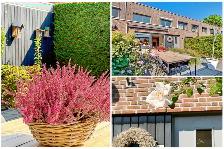 Foto 5 van Leo Fallplantsoen 37