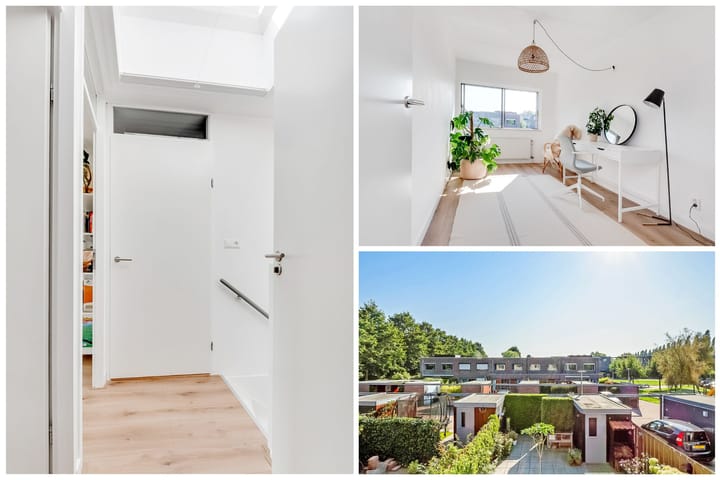 Foto 31 van Leo Fallplantsoen 37