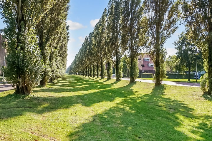 Bekijk foto 41 van Leo Fallplantsoen 37