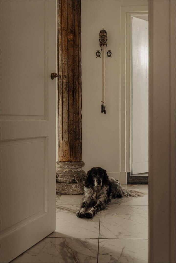 Foto 21 van Onderstraat 1