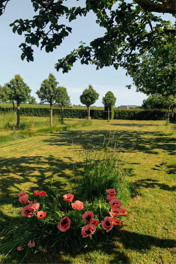 Foto 55 van Onderstraat 1