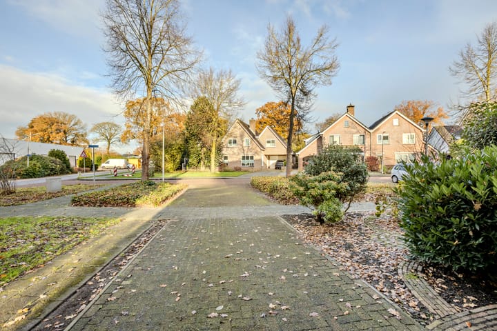 Foto 43 van Honingland 9