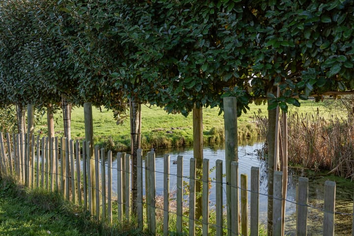 Foto 31 van Tuinstraat 10