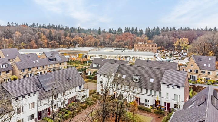 Foto 49 van Oversteek 56