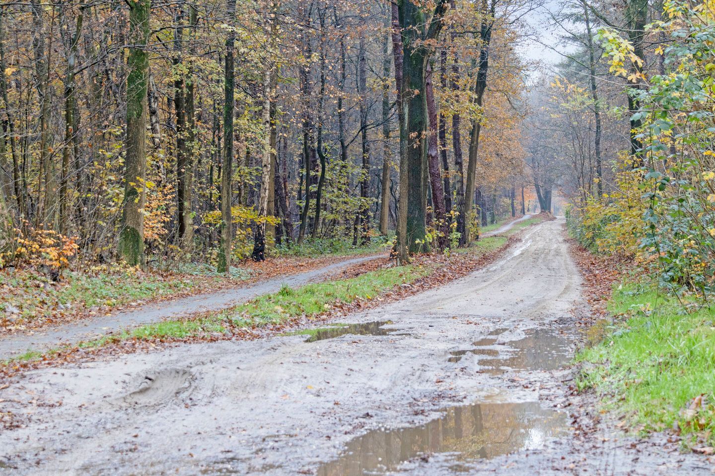 Foto 55 van Oversteek 56