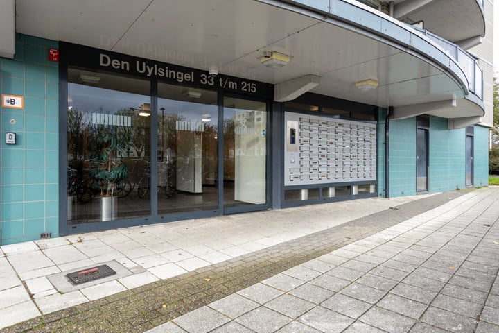 Bekijk foto 25 van Den Uylsingel 135